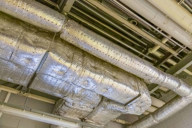 Best Professional Duct Cleaning Services  in USA